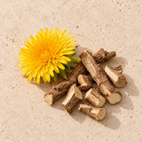 Dandelion root