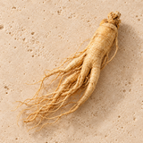 Panax ginseng