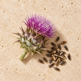 Milk thistle
